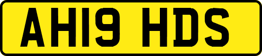 AH19HDS