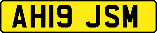 AH19JSM
