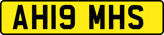 AH19MHS