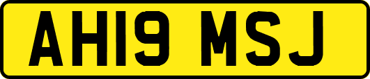 AH19MSJ