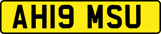 AH19MSU