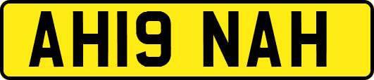 AH19NAH