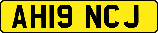 AH19NCJ