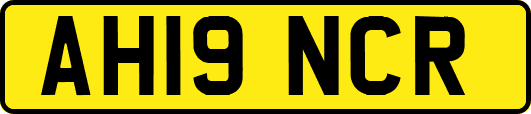 AH19NCR