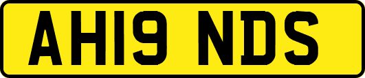 AH19NDS