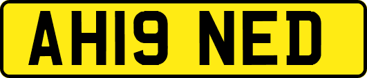 AH19NED