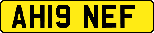 AH19NEF