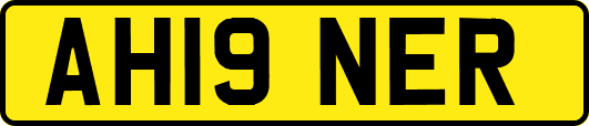 AH19NER