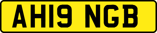 AH19NGB