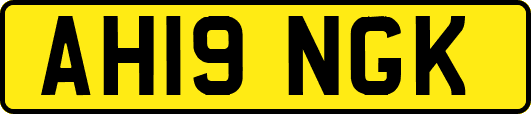 AH19NGK