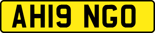 AH19NGO