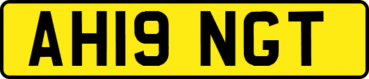 AH19NGT
