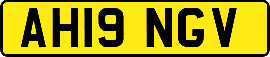AH19NGV