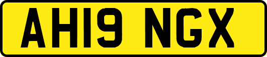 AH19NGX