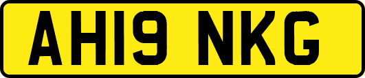 AH19NKG