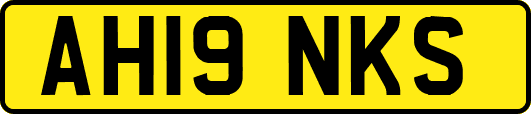 AH19NKS
