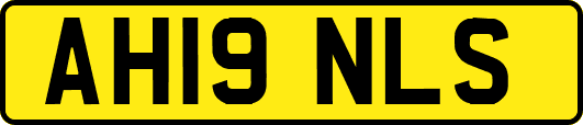 AH19NLS