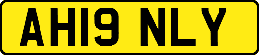 AH19NLY