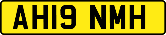 AH19NMH