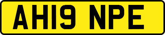 AH19NPE