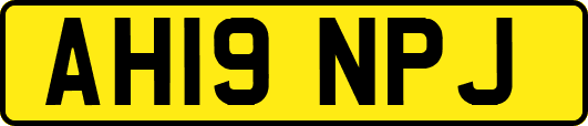 AH19NPJ
