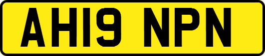 AH19NPN