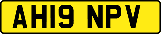 AH19NPV