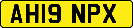 AH19NPX