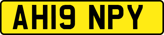AH19NPY