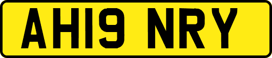 AH19NRY