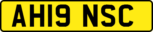 AH19NSC