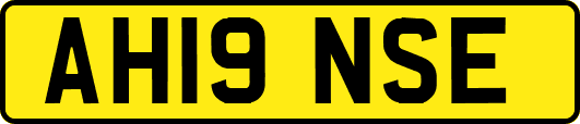 AH19NSE
