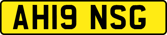 AH19NSG