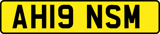 AH19NSM
