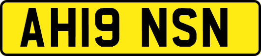 AH19NSN
