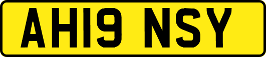AH19NSY