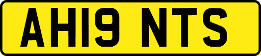 AH19NTS