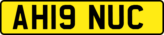 AH19NUC