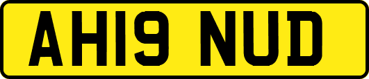 AH19NUD
