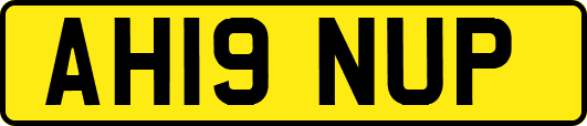 AH19NUP