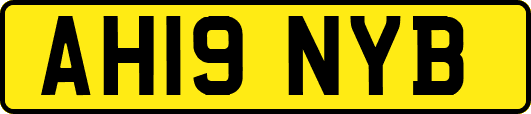AH19NYB