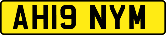 AH19NYM
