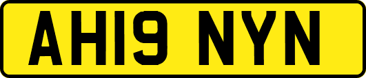 AH19NYN