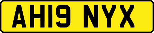 AH19NYX