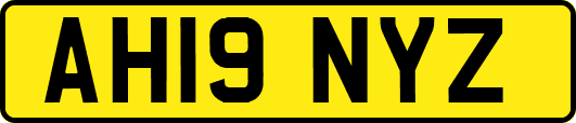 AH19NYZ