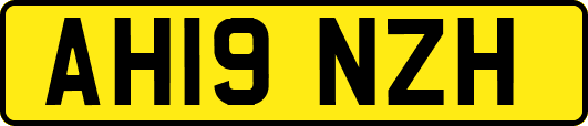 AH19NZH