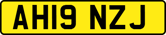 AH19NZJ