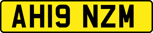 AH19NZM