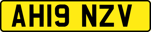 AH19NZV
