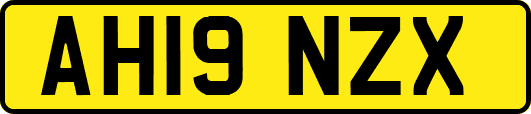 AH19NZX